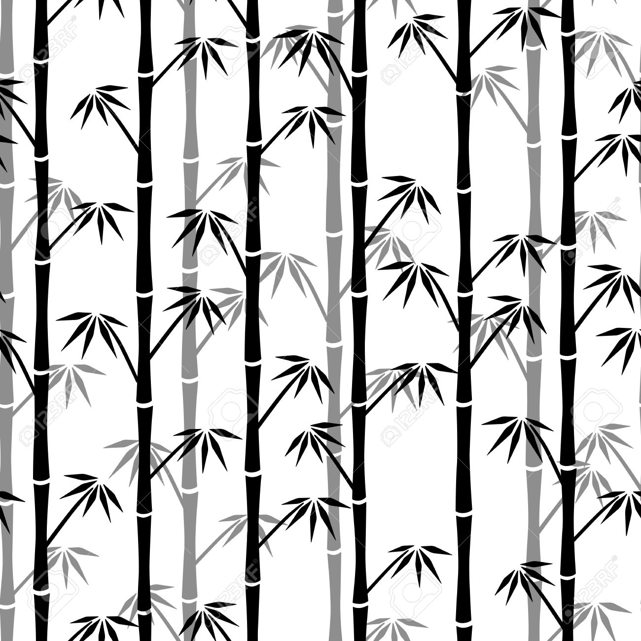 1300x1300 White Silhouette Of Bamboo On Black Background Royalty Free