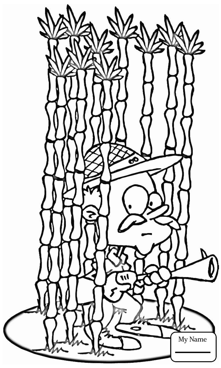 765x1271 Activities Hunting Hunter Is Hiding In A Bamboo Forest Hunting