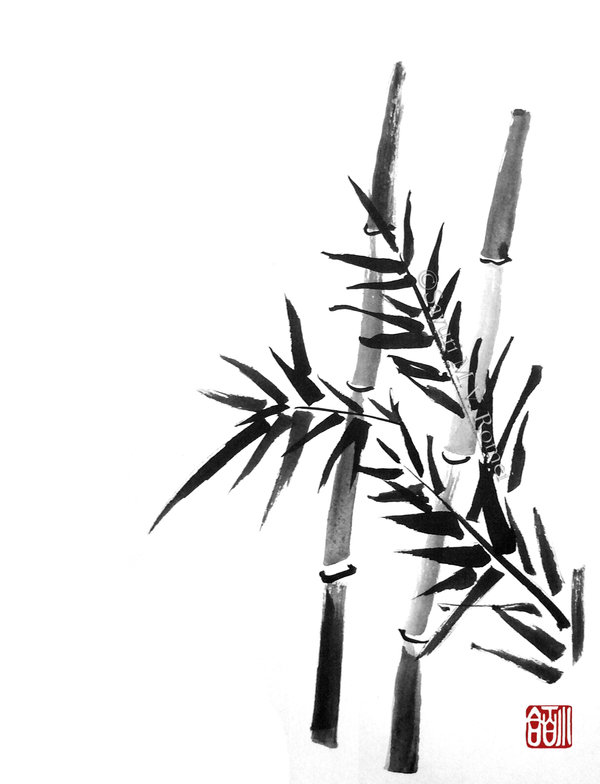 600x784 Bamboo 2