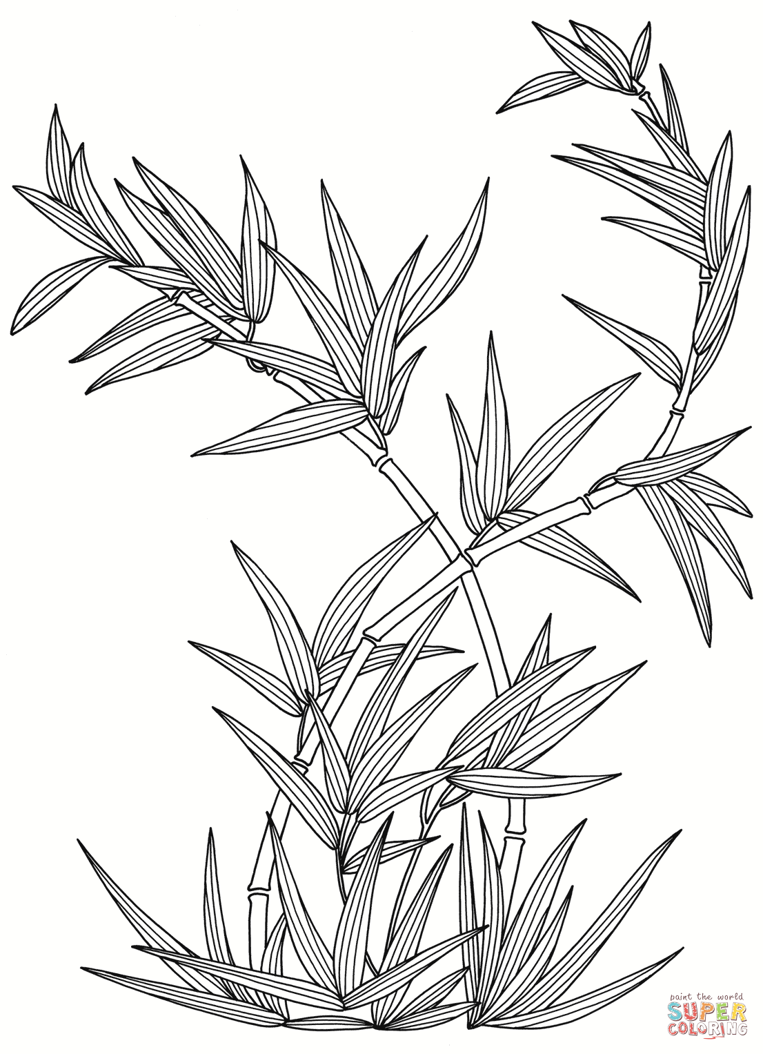 1106x1527 Bamboo Plant Coloring Page Free Printable Coloring Pages