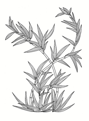 370x500 East Asian Designs