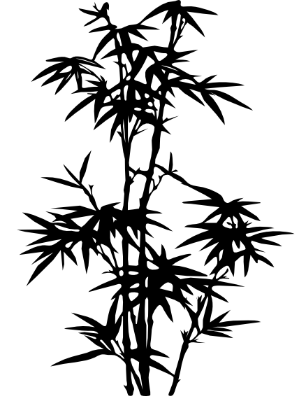 438x593 Bamboo Outline