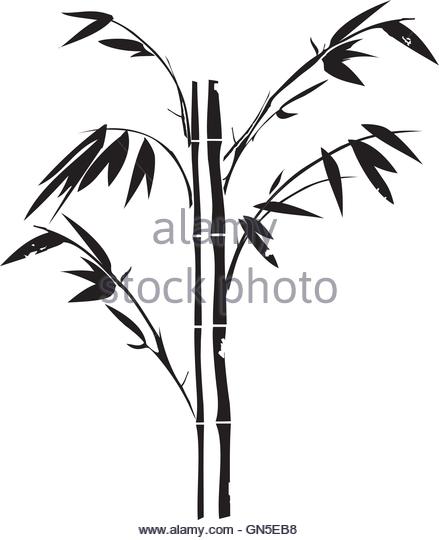 439x540 Bamboo Tree Silhouette Background Stock Photos Amp Bamboo Tree