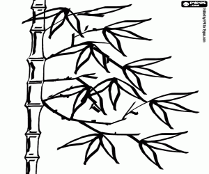 300x250 Plants And Leaves Coloring Pages Printable Games