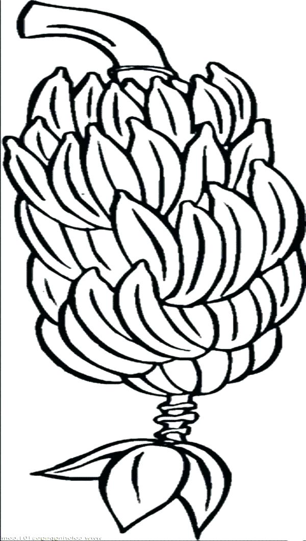 600x1062 Banana Coloring Page Pages Photo Banana Coloring Page Banana Split