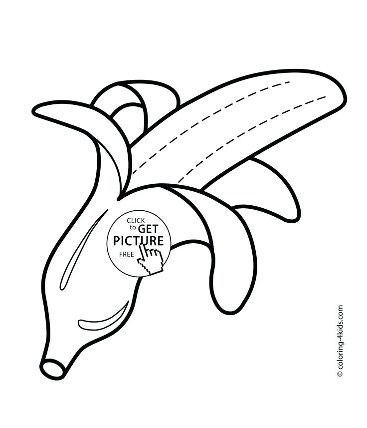 736x857 Banana Coloring Page Tall Banana Tree With Banana Bunch Coloring