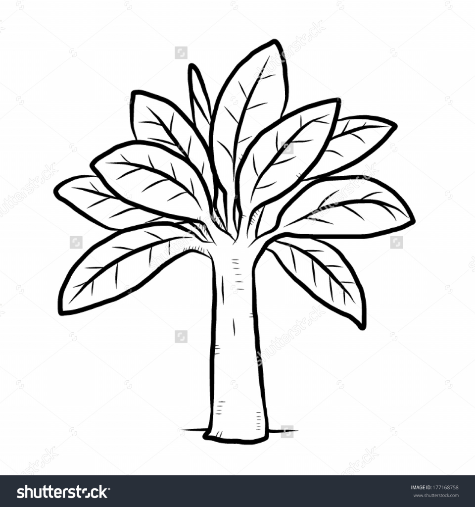 960x1024 How To Draw A Banana Tree Banana Tree Cartoon Vector