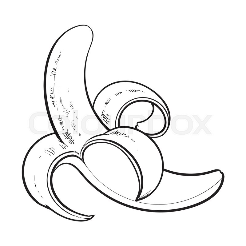 800x800 Black And White One Open, Peeled Ripe Banana, Sketch Style Vector