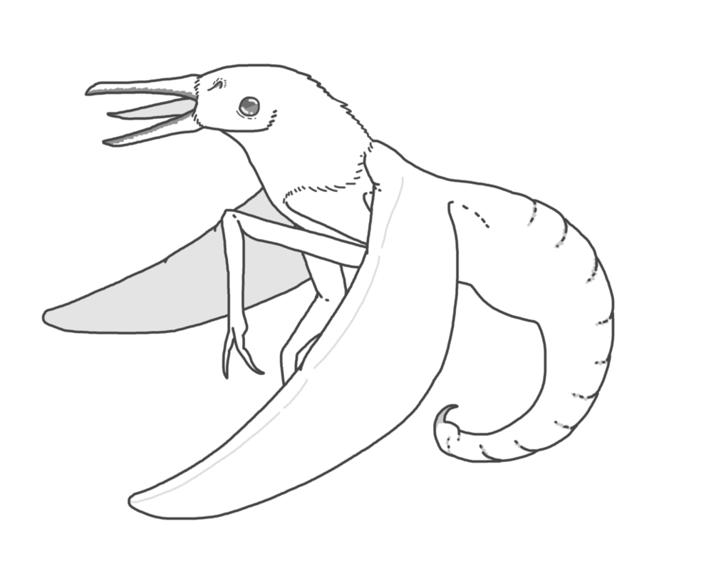 984x812 Daily Drawing