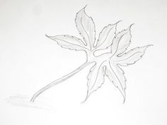 236x177 How To Draw Or Sketch Of Banana Leaf Using Pencil