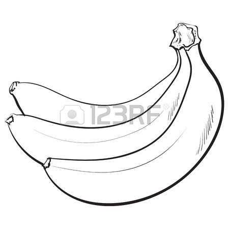 450x450 One Open, Peeled Ripe Banana, Sketch Style Vector Illustration