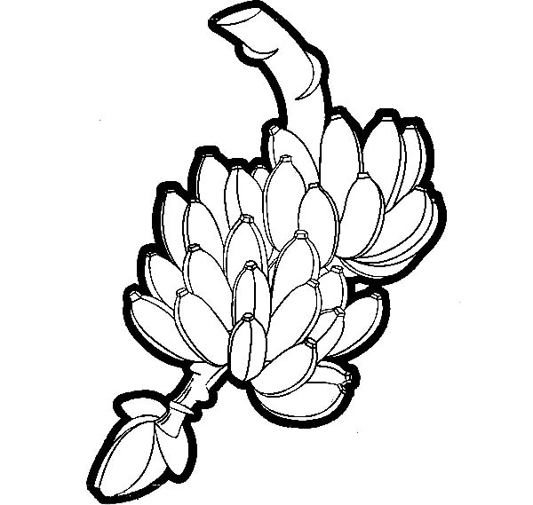 600x569 Drawn Banana Banana Bunch