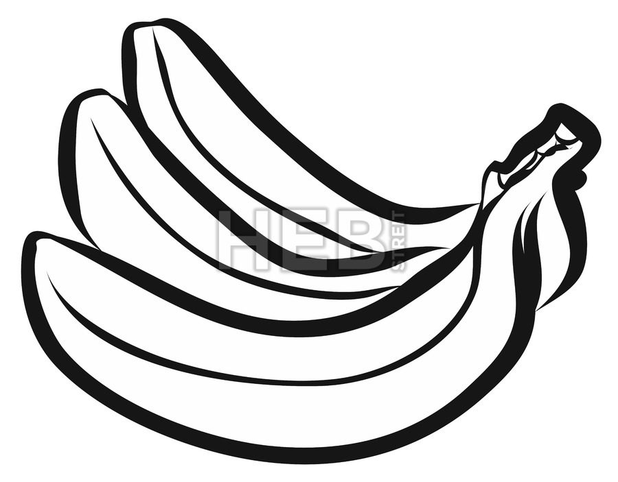 900x703 Vector Three Bananas Outline Sketch Hebstreits