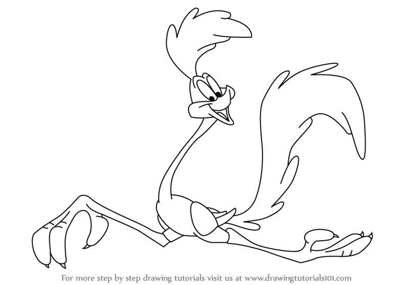 800x566 Learn How To Draw The Road Runner (The Road Runner) Step By Step