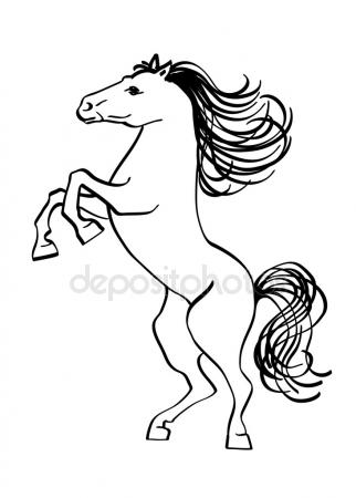 322x450 Sketch Banana Fruit Vector. Stock Vector Inides