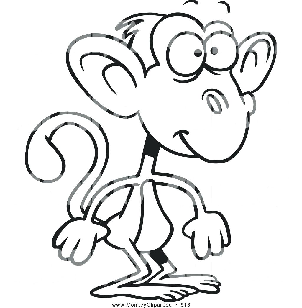 1024x1044 Coloring Coloring Pages Of Baby Monkeys Inside Aming Cute Monkey