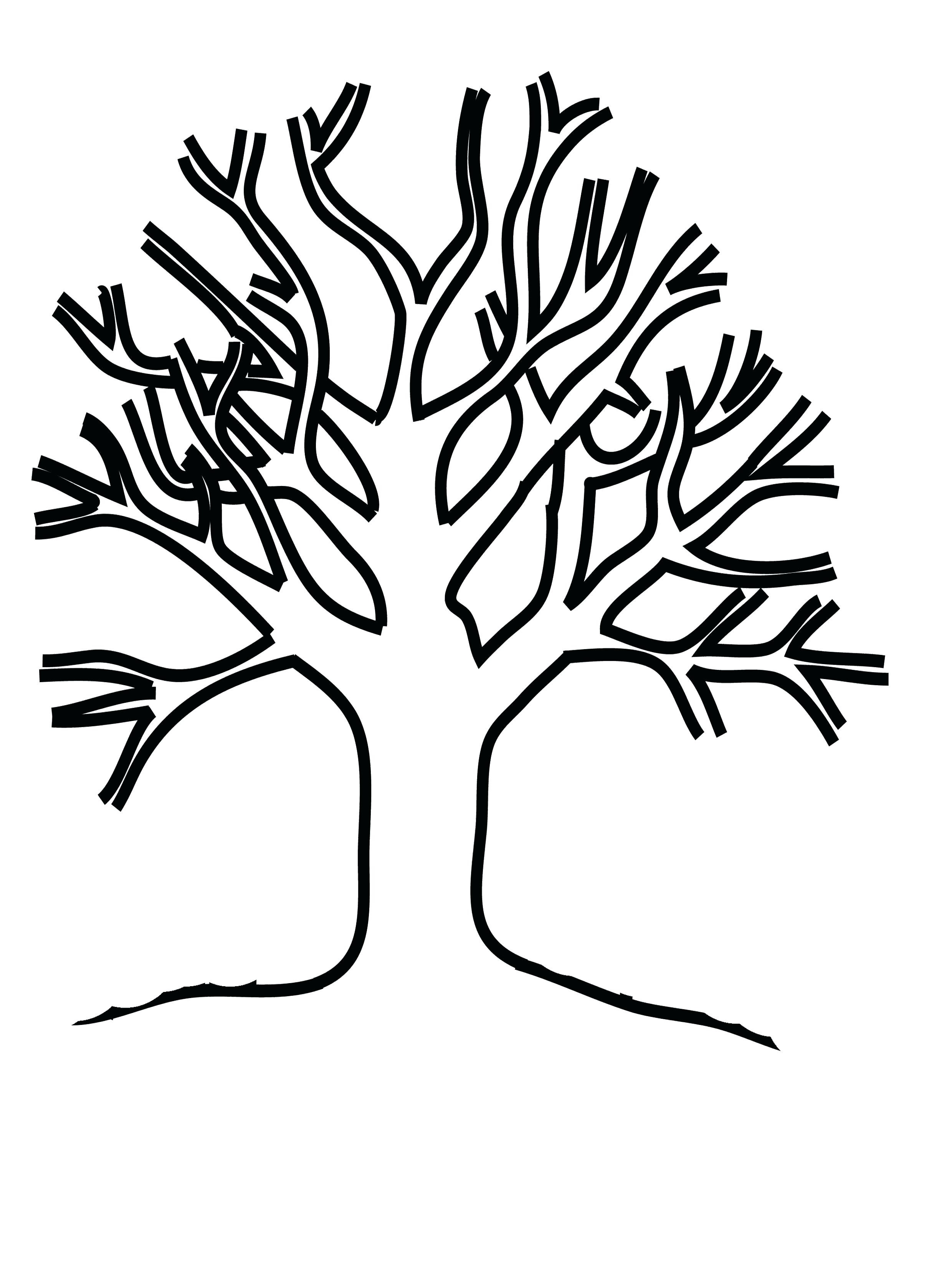 2480x3311 Tree Without Leaves Colouring Pages Free Draw To Color