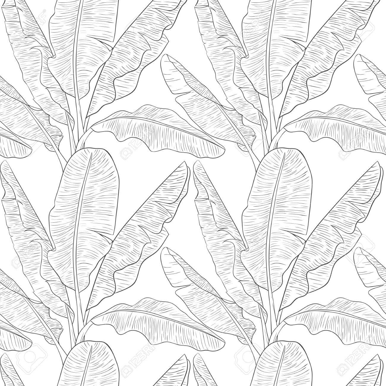 1300x1300 Banana Leaves Pattern Vector Royalty Free Cliparts, Vectors,