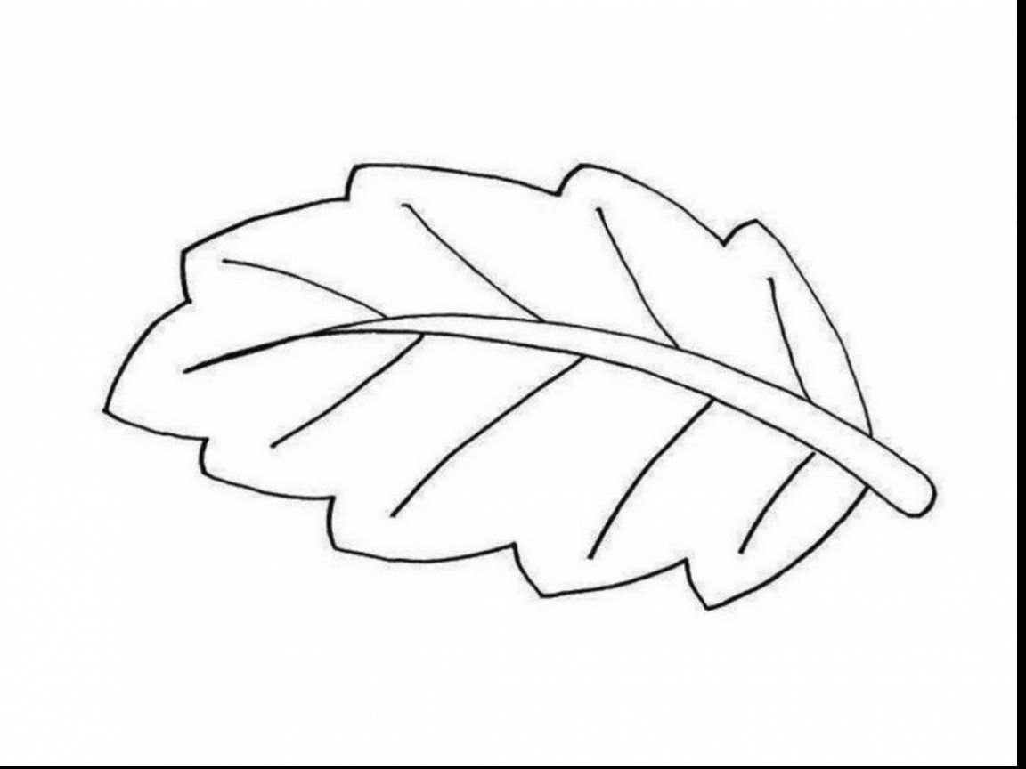 1152x864 Fantastic Black And White Banan Leaf Coloring Page Printable