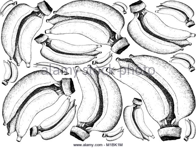 640x485 Line Drawing Stock Photos Amp Line Drawing Stock Images