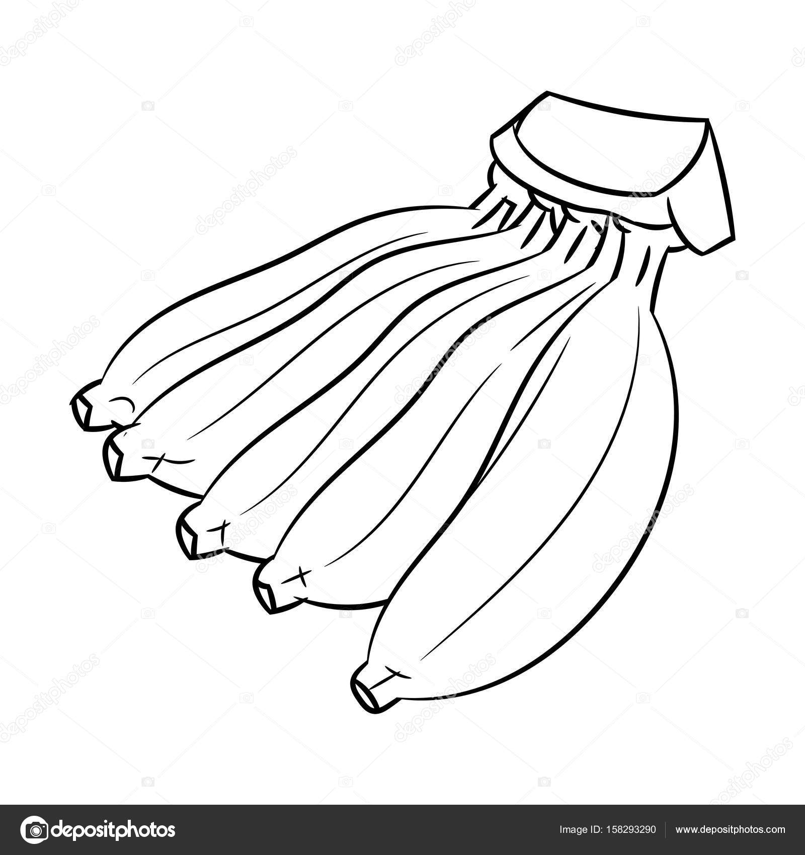 1600x1700 Line Drawing Of Banana Simple Line Vector Stock Vector