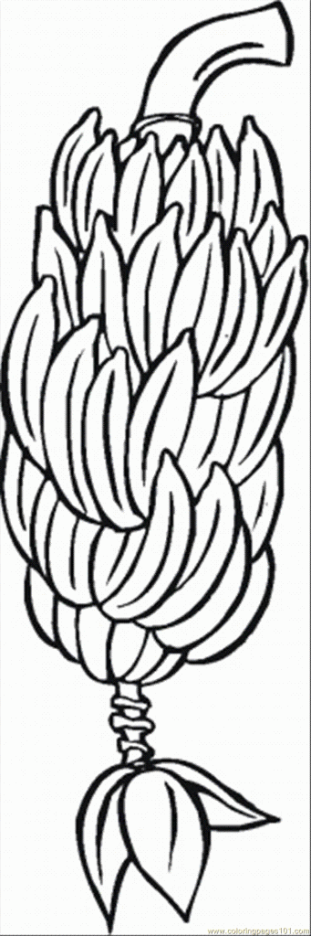 341x1024 Free Banana Tree Coloring Printable Page Kids Sheet To Print Stock