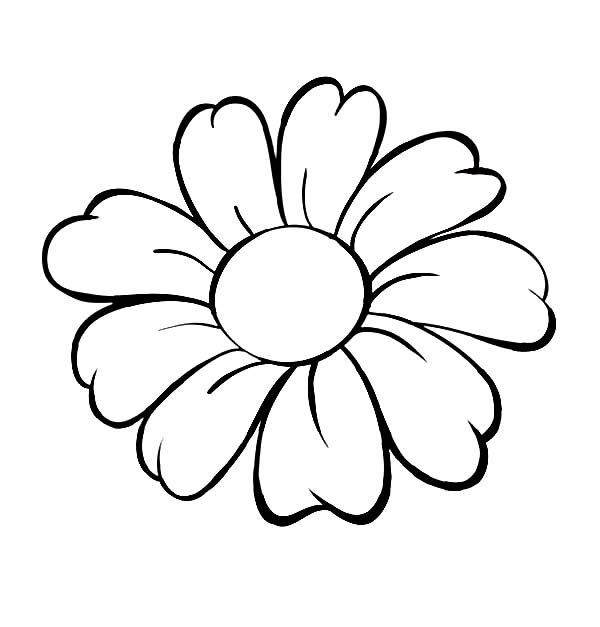 600x627 Pictures Outline Drawing Of A Flower,