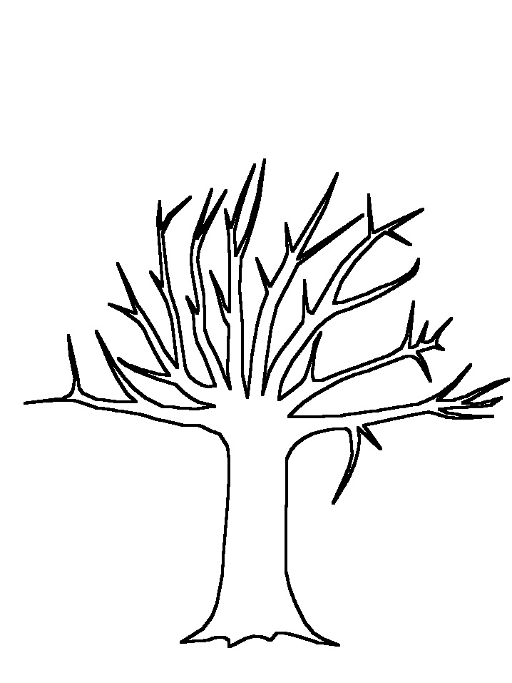 718x957 Tree Drawing Cliparts 269273
