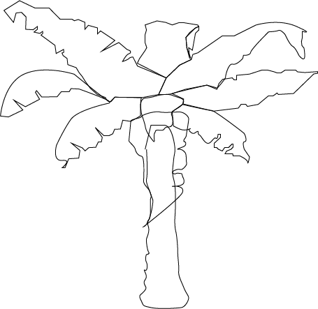 455x443 Banana Tree Drawing