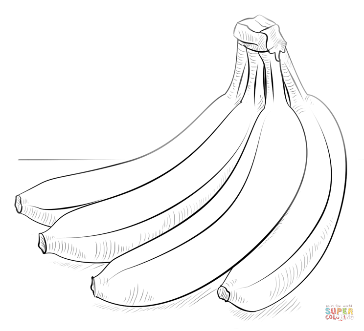 744x678 Bunch Of Bananas Coloring Page Free Printable Coloring Pages