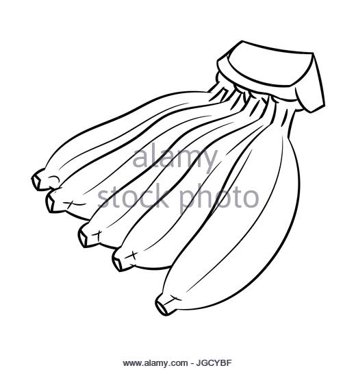 520x540 Ripe Banana Black And White Stock Photos Amp Images