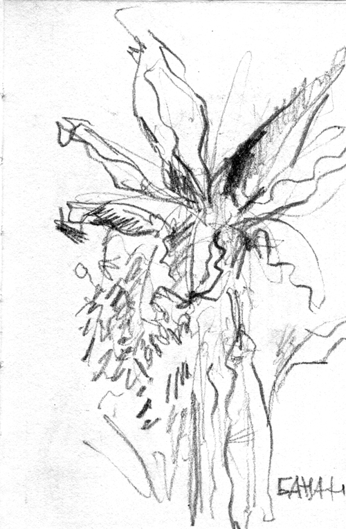 500x764 Banana Tree, Barbican And A Couple Of Small Sketches Zhenia Vasiliev