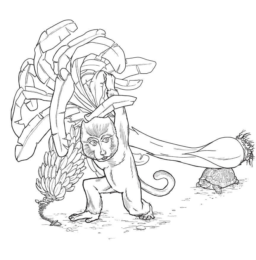 864x879 Banana Tree By Flakerache