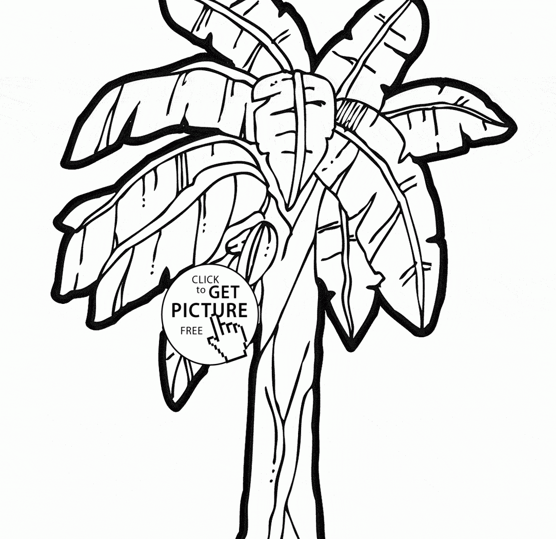 1084x1050 Monkey Climbing Banana Tree Coloring Page Stock Printable Kids
