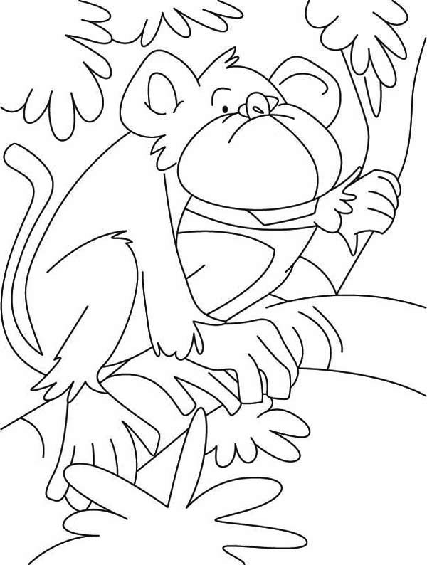 600x794 A Monkey Hiding On A Tree Coloring Page