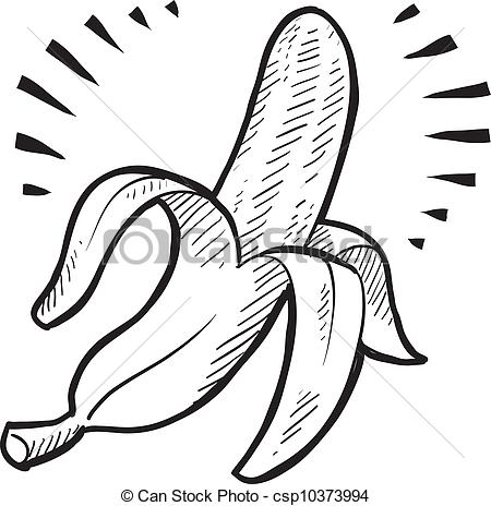 450x464 Drawn Banana Sketched