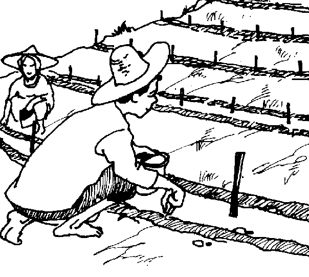 604x540 8. Bench Terraces