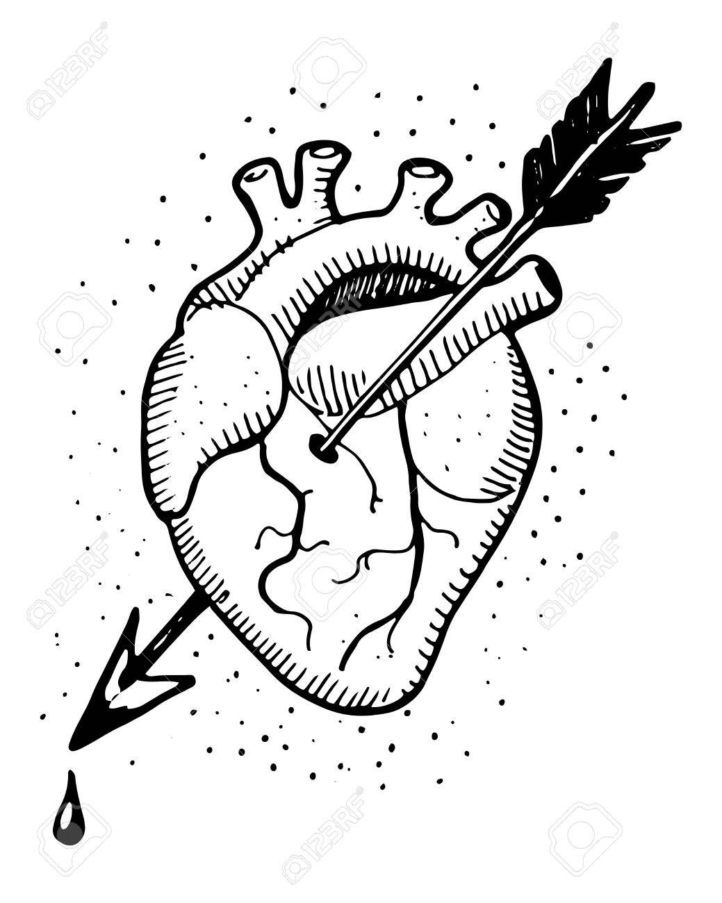 1039x1300 Hand Drawn Illustration Of A Human Heart With An Arrow Royalty