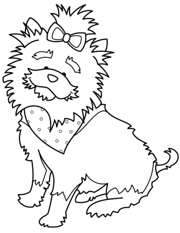 371x480 Funny Yorkshire Terrier With Bandana Coloring Page Free
