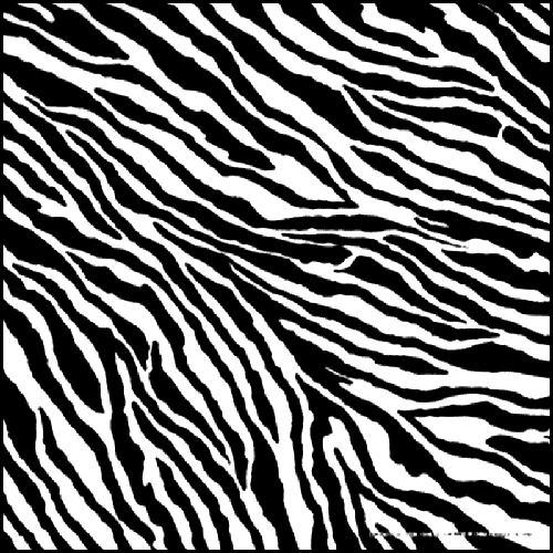 500x500 Zebra Skin Bandana
