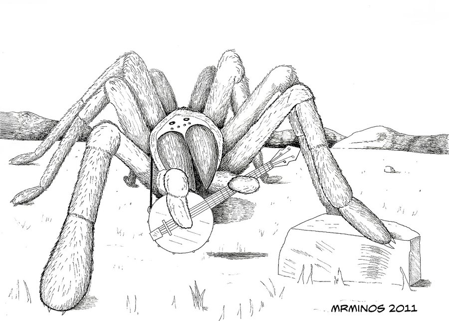 900x643 Banjo Tarantula Pen And Ink By Mrminos