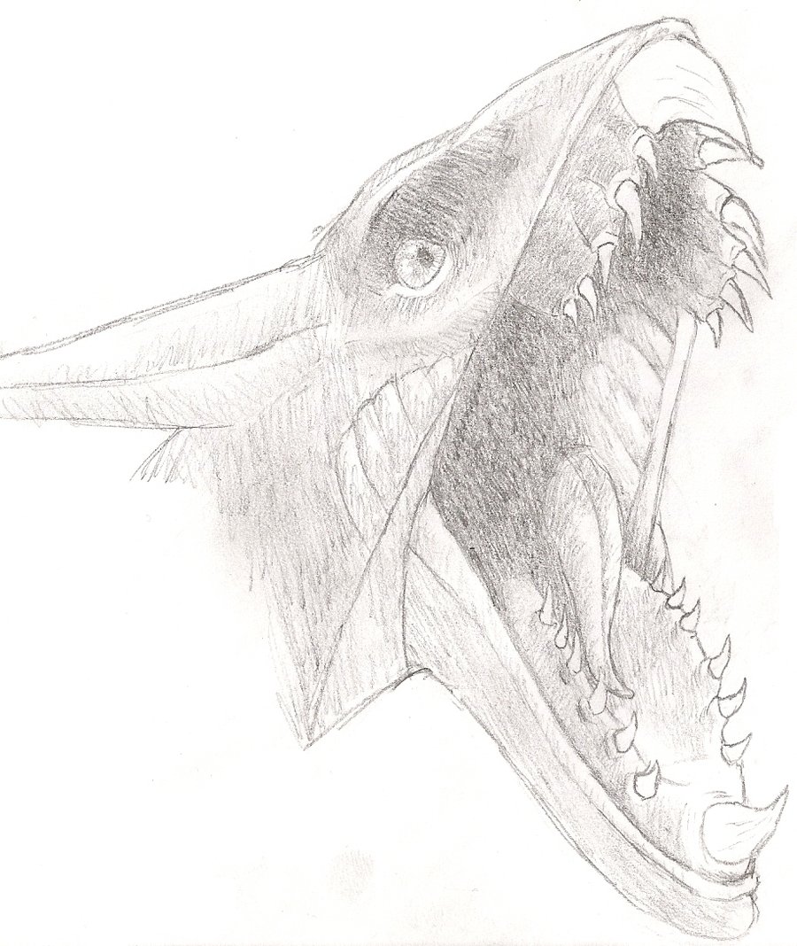 900x1068 Mountain Banshee