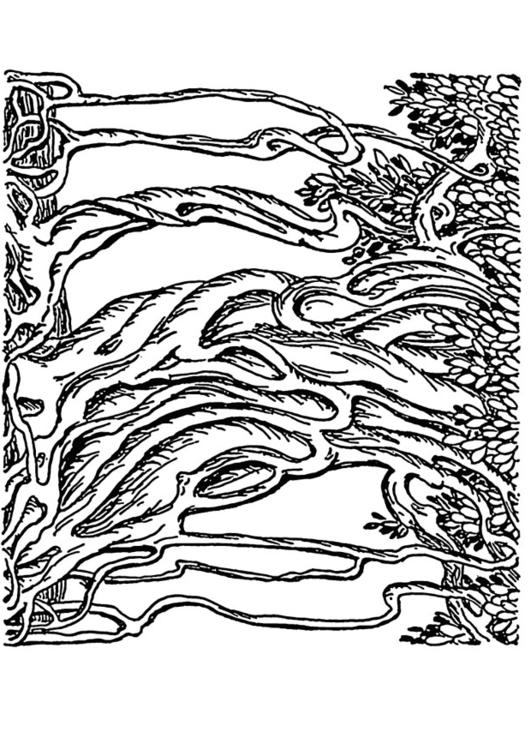 531x750 Coloring Page Banyan Tree