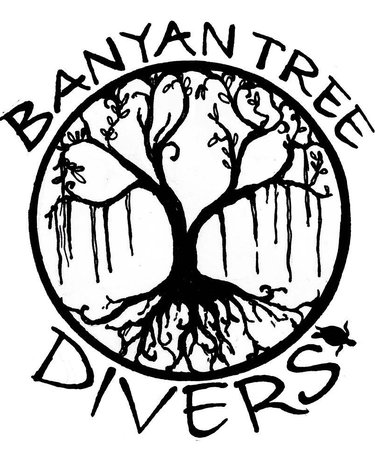 375x450 Banyan Tree Divers