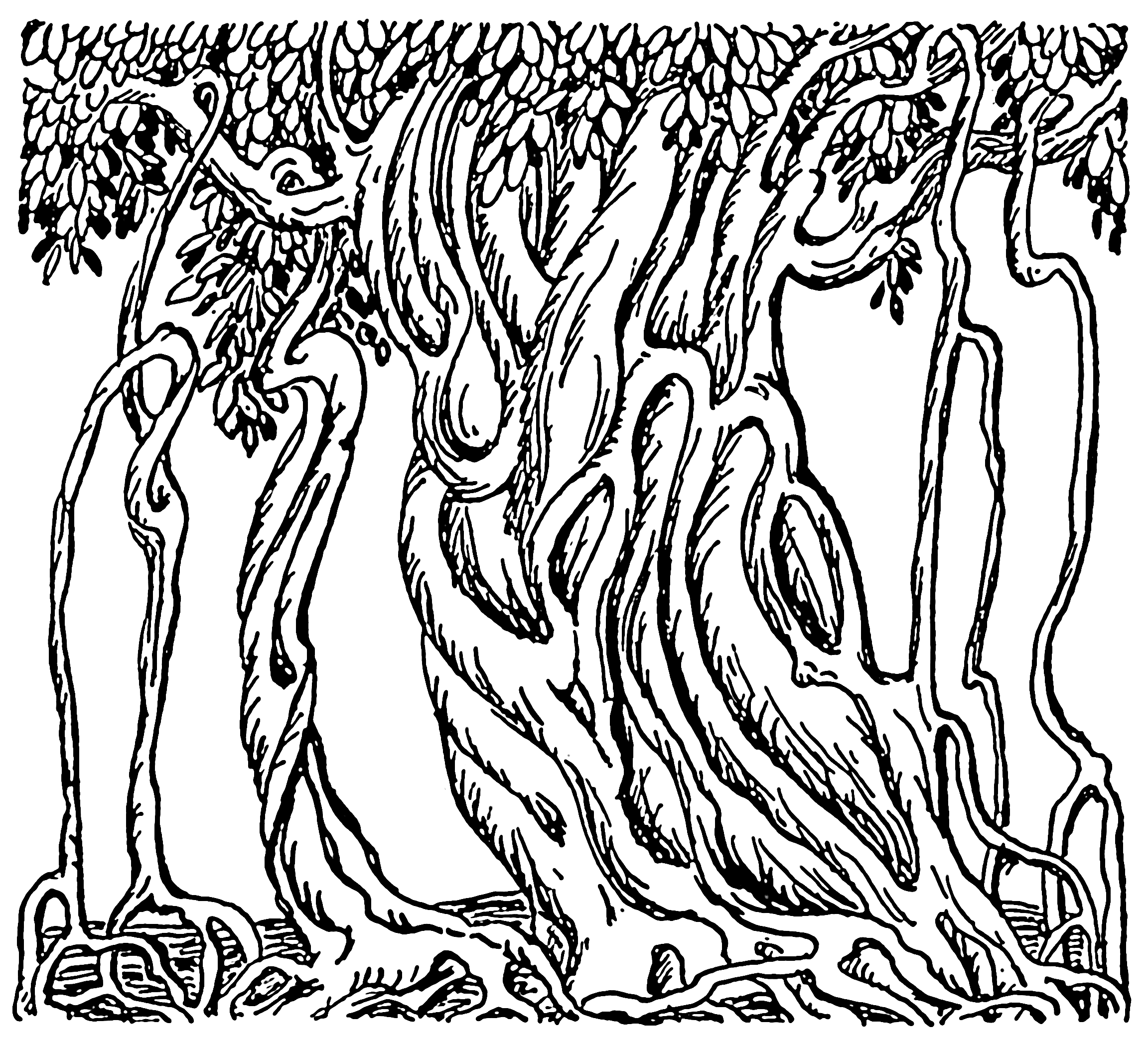 2304x2090 Filebanyan Tree 001.png