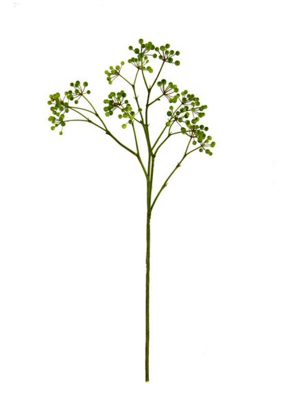 414x600 Berry Stem The Banyan Tree Furniture