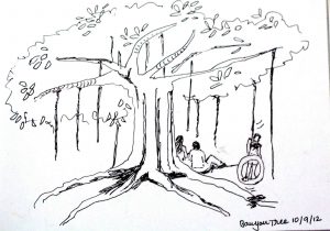 300x210 Banyan Tree Sketches