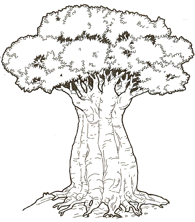 650x737 Coloring Picture Of Baobab Tree Honey Honey Lion Coloring
