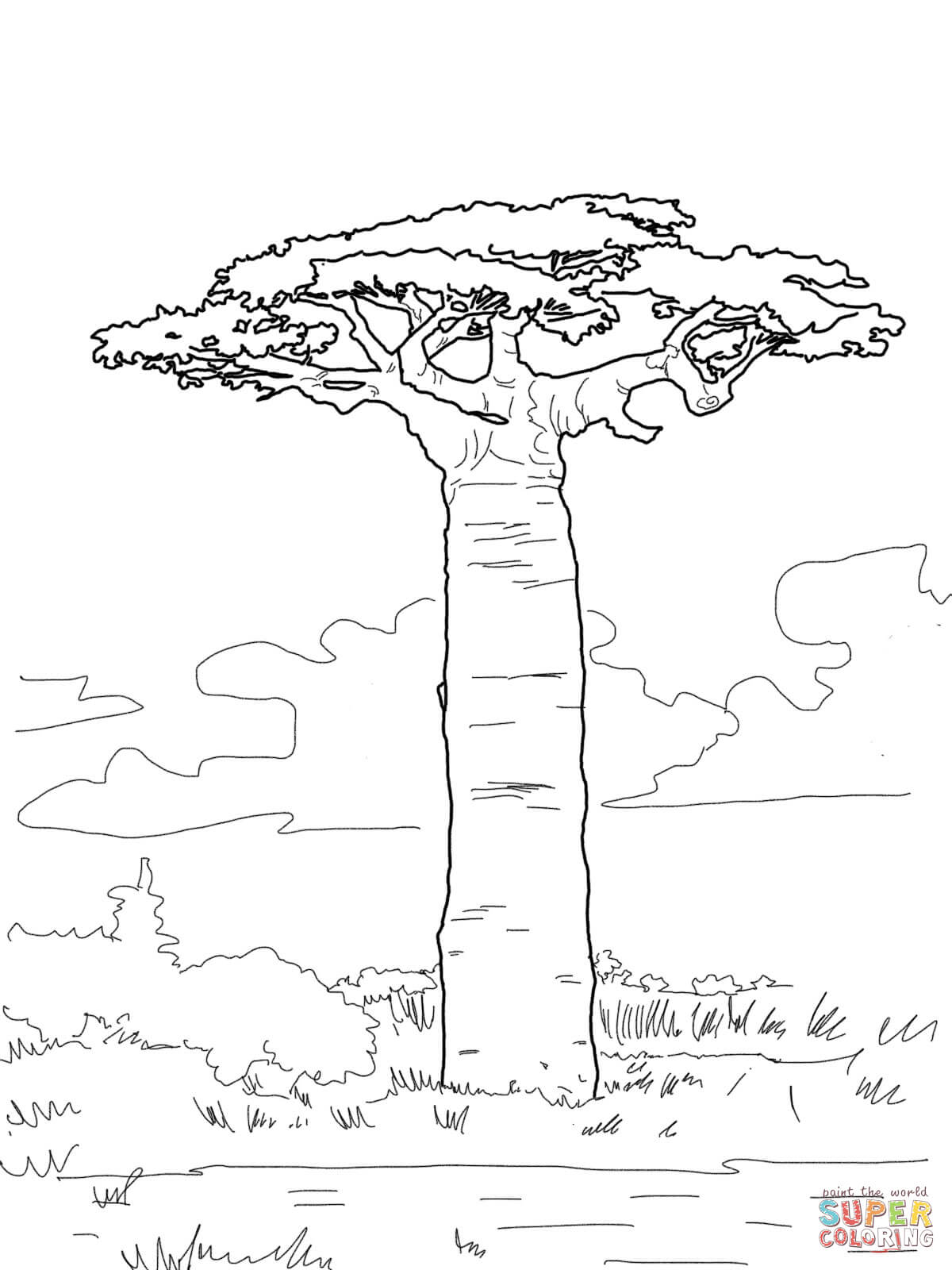 1200x1600 Grandidier's Baobab Coloring Page Free Printable Coloring Pages