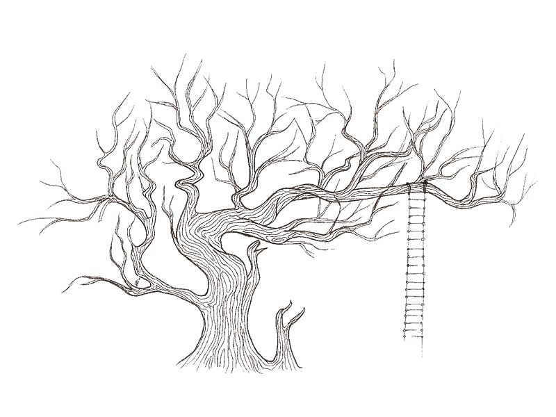 800x600 Score Baobab Tree Dottinghill Temporary Tattoos Are Now Skin